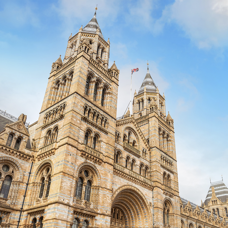 Natural History Museum near Capital Hotel