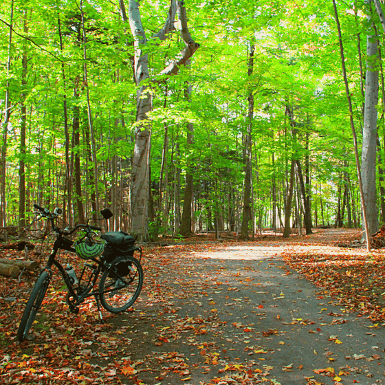 Hotels Near Bruce's Mill Conservation Park Markham