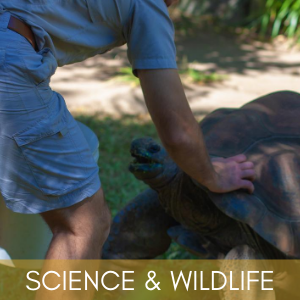 Science & Wildlife poster with a tortoise used at The Abbey Inn