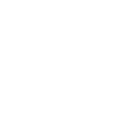 Transparent Text Logo of the Dream Hotels Logo