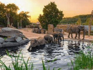 The 4th Best ZOO in the World