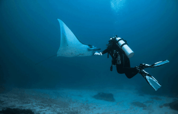 Best Resort Diving | Grand Park Kodhipparu, Maldives