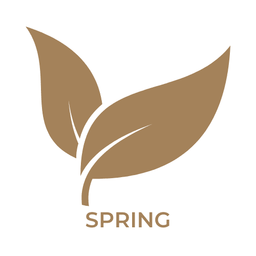 spring in boise