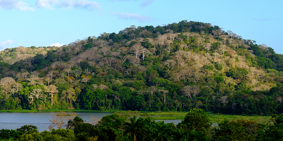 View of a tropical reserve near Playa Blanca Beach Resort