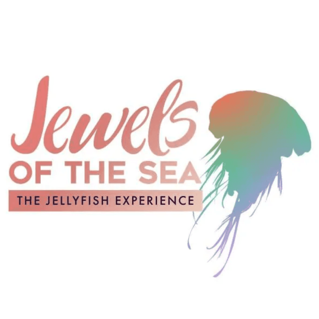 The Jellyfish Experience: Jewels of the Sea | San Diego Events | El Cordova Hotel