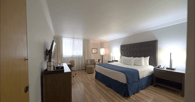 King bed with tufted headboard and navy runner near a window with an armchair and TV in the Deluxe Room at Miami Lakes Hotel
