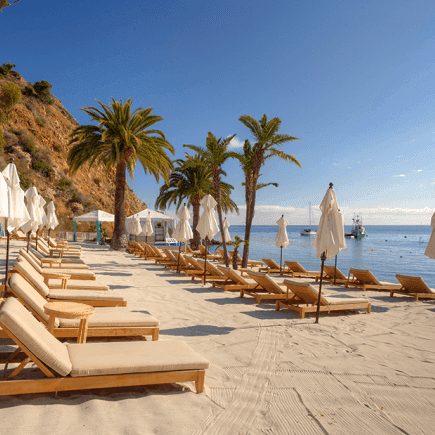 Lounge chairs and umbrellas on a sandy beach at Catalina Island Company