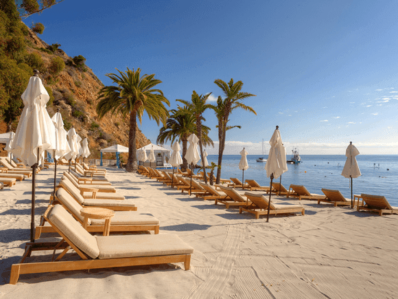 Lounge chairs and umbrellas on a sandy beach at Catalina Island Company