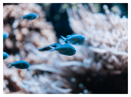 Einblick ins Ibiza Gran Hotel