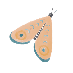 Watercolor illustration of an orange and blue moth with antennae at Marbella Club