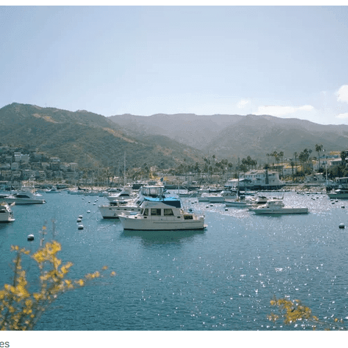 Getty Image of Catalina Island from article