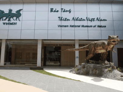 The Vietnam National Museum of Nature near Eastin Hotels