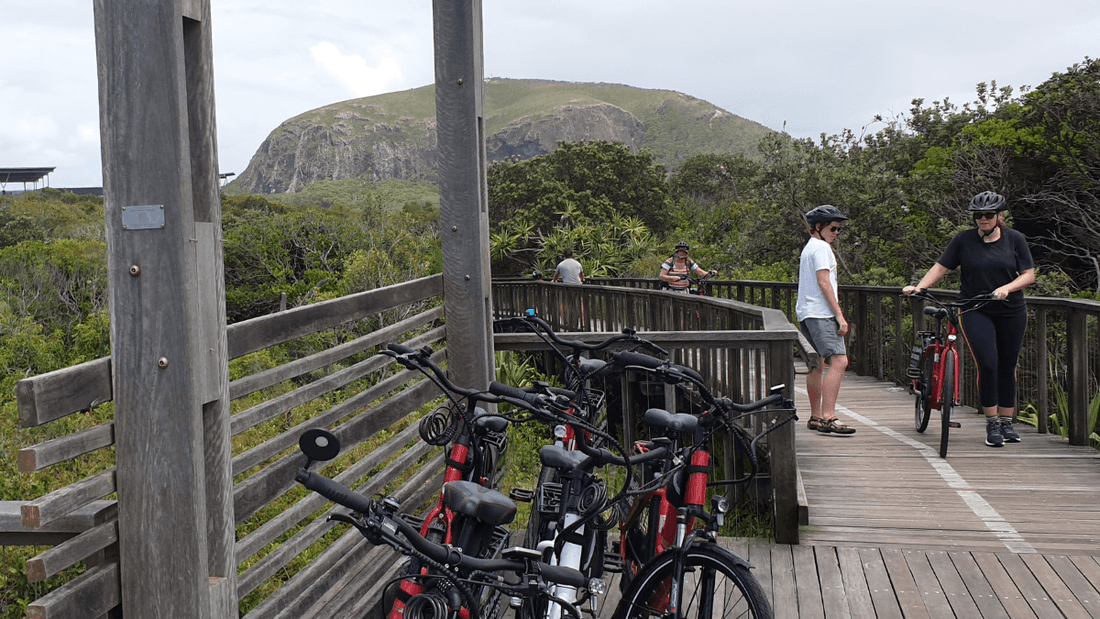 Scenic wooden boardwalk surrounded by lush greenery, with parked bicycles, and people near the Novotel Sunshine Coast Resort