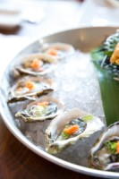 a plate of oysters on ice