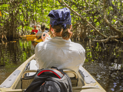 Tourist Kayaking through a swamp in Everglades Florida near Bayside Inn Key Largo