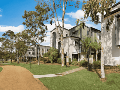 Modern two-story residential buildings with white and gray facades surrounded by native trees and landscaped lawns.