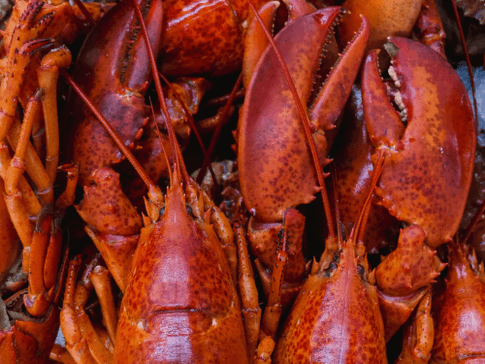 22nd Annual 4th of July Lobster Bake & Barbecue 
