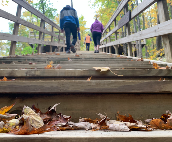 Close-up of steps in Shawangunk Park near Honor's Haven Retreat