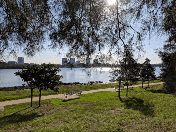 Parramatta River Regional Park near Nesuto Parramatta Apartment Hotel