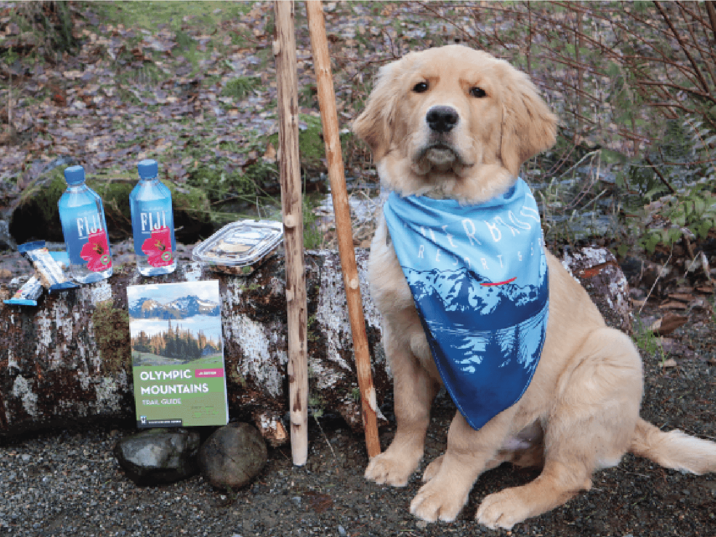 A golden retriever with a fishing pole and a bag of food at Alderbrook Resort & Spa