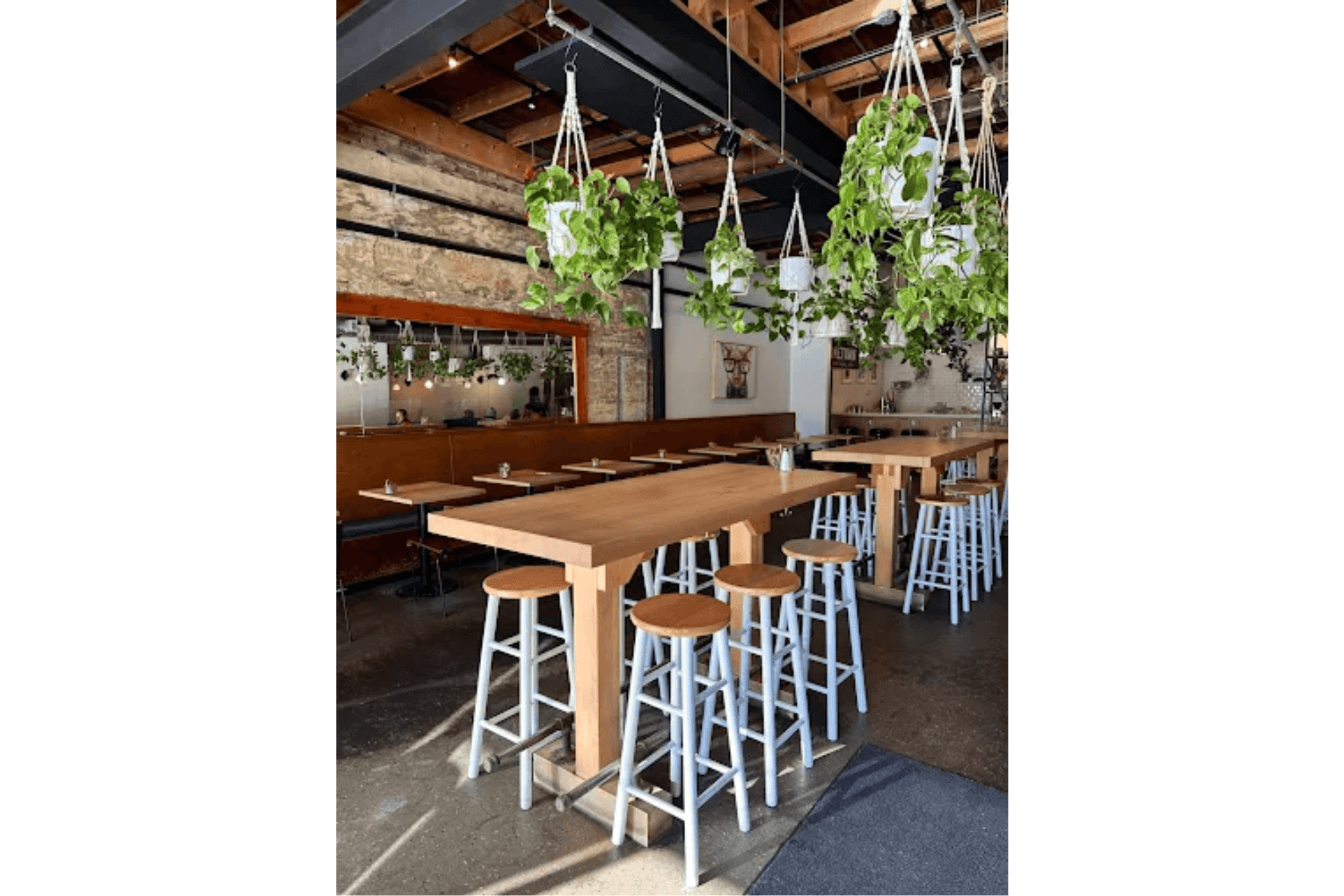 Photograph of a modern cafe interior featuring long wooden tables with white stools arranged around them. Green hanging plants suspended from the ceiling add natural decor, while exposed brick walls and wooden beams contribute to a rustic industrial atmosphere.