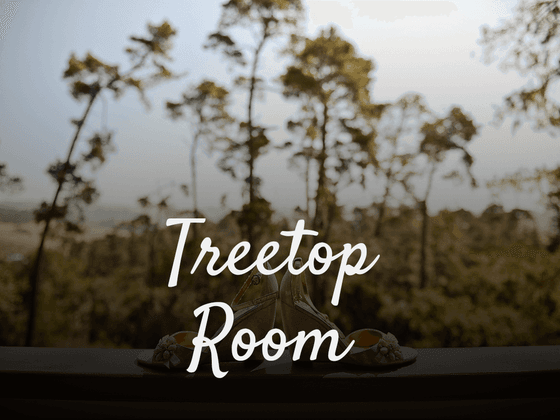 Image of trees with text