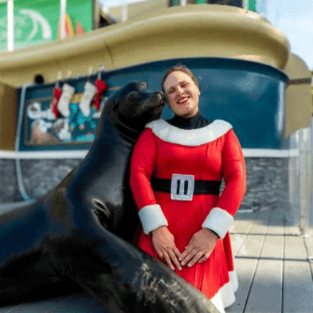SeaWorld San Diego’s Christmas Celebration| What to do in San Diego | El Cordova Hotel