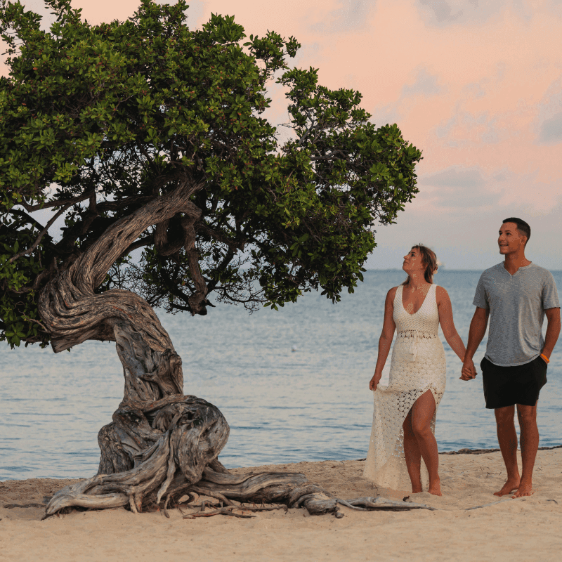 Couple holding hands on Eagle Beach by a Fofoti tree with the ocean in the background.
