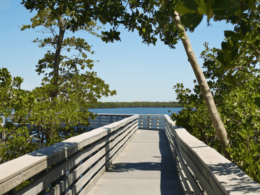 A boardwalk in Anne Kolb Nature Center near Costa Beach Resort