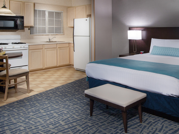 The Safari Inn - Coast King Junior Suite