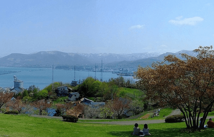Fall Foliage | Grand Park Otaru