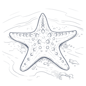 An artistic illustration of a starfish on a dark background from Warwick Le Lagon - Vanuatu Port Vila