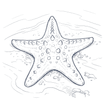 An artistic illustration of a starfish on a dark background from Warwick Le Lagon - Vanuatu Port Vila