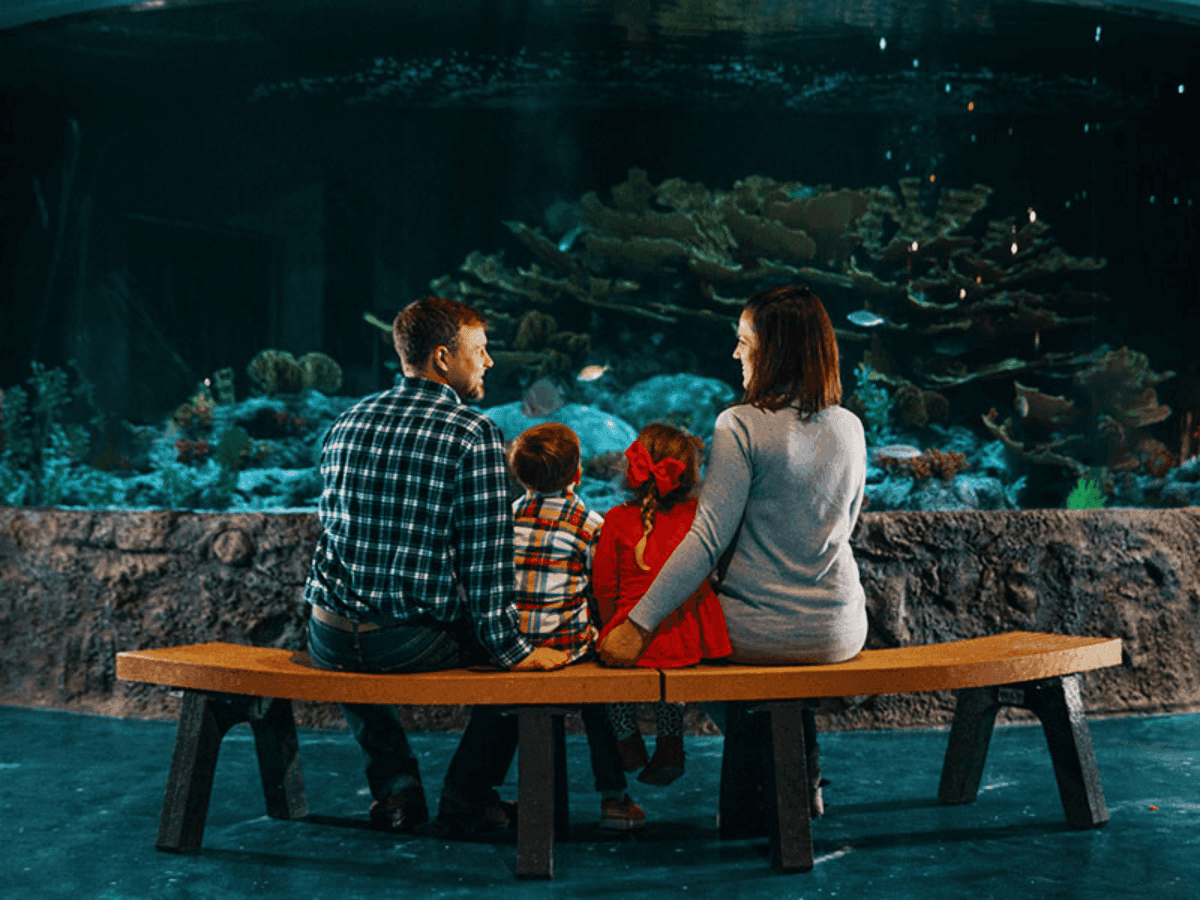 Family of four sitting on a bench in front of a large aquarium with coral and fish.