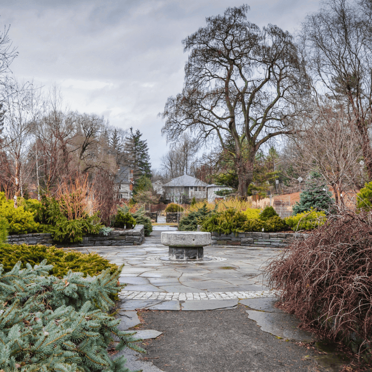 winter at botanical garden in ithaca ny