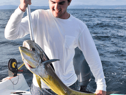 Fisherman captures a mahi mahi in Key Largo near Bayside Inn Key Largo