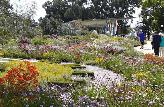 People leisurely walking through a garden near Nesuto Mounts Bay