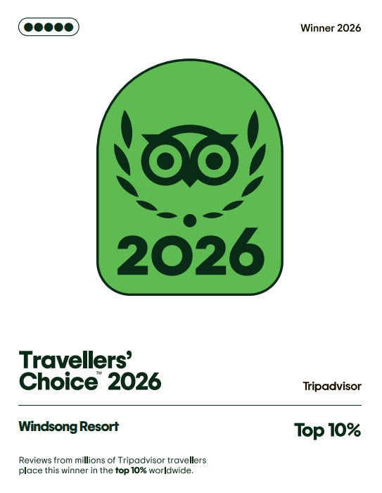 TripAdvisor Winner 2026