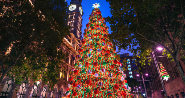 The Martin Place Christmas tree illuminated by lights.