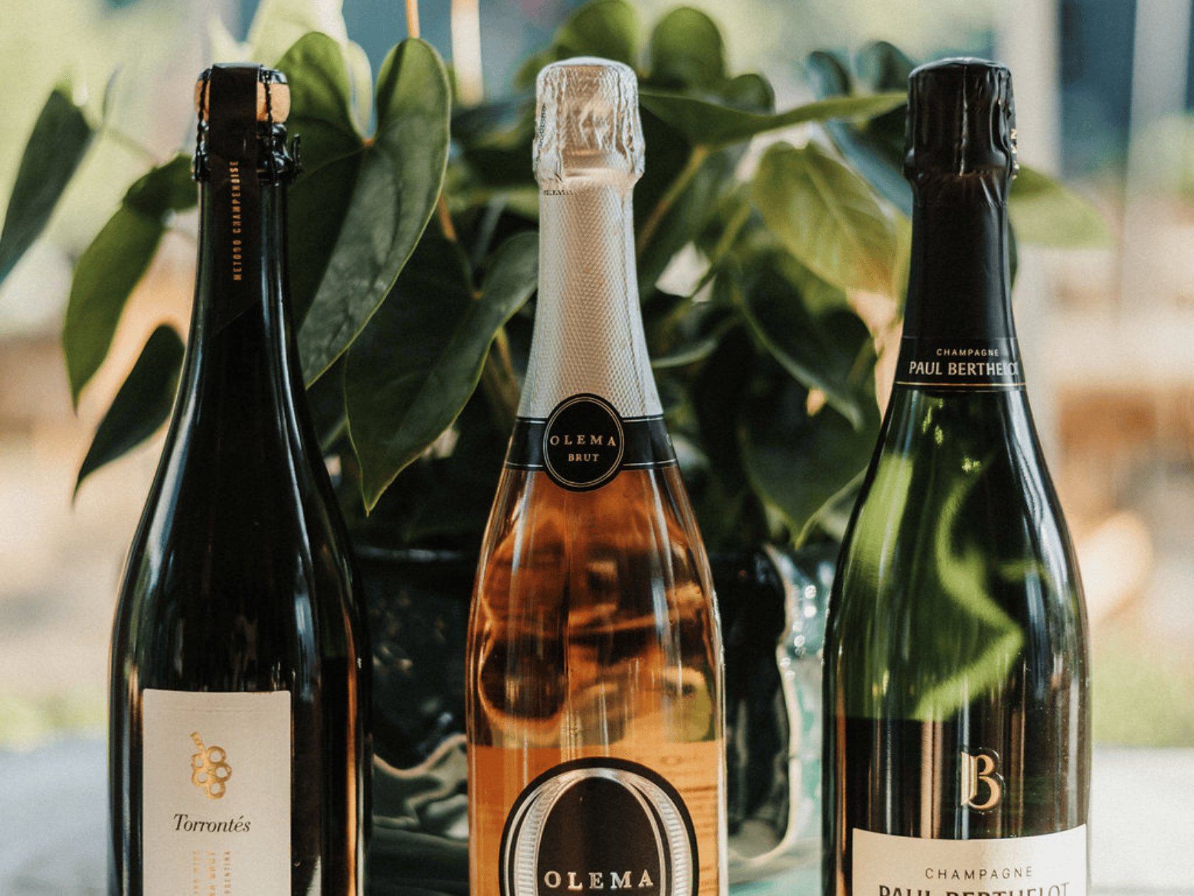 Three wine bottles, two red wines and one white wine.