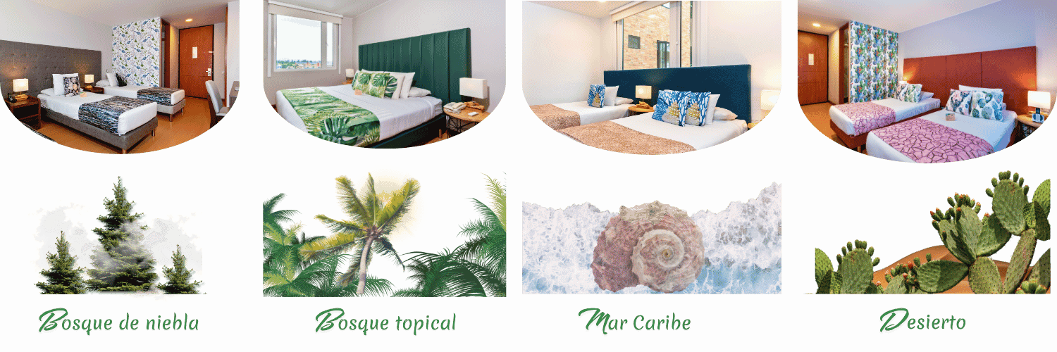 HABITACIONES CON TEMATICAS DE BIOCLIMAS | BOSQUE DE NIEBLA | BOSQUE TROPICAL | MAR CARIBE | DESIERTO| HOTEL FACTORY GREEN