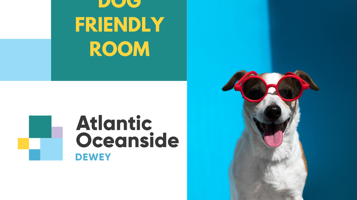 atlantic-oceanside-deluxe-double-bed-room-accommodation