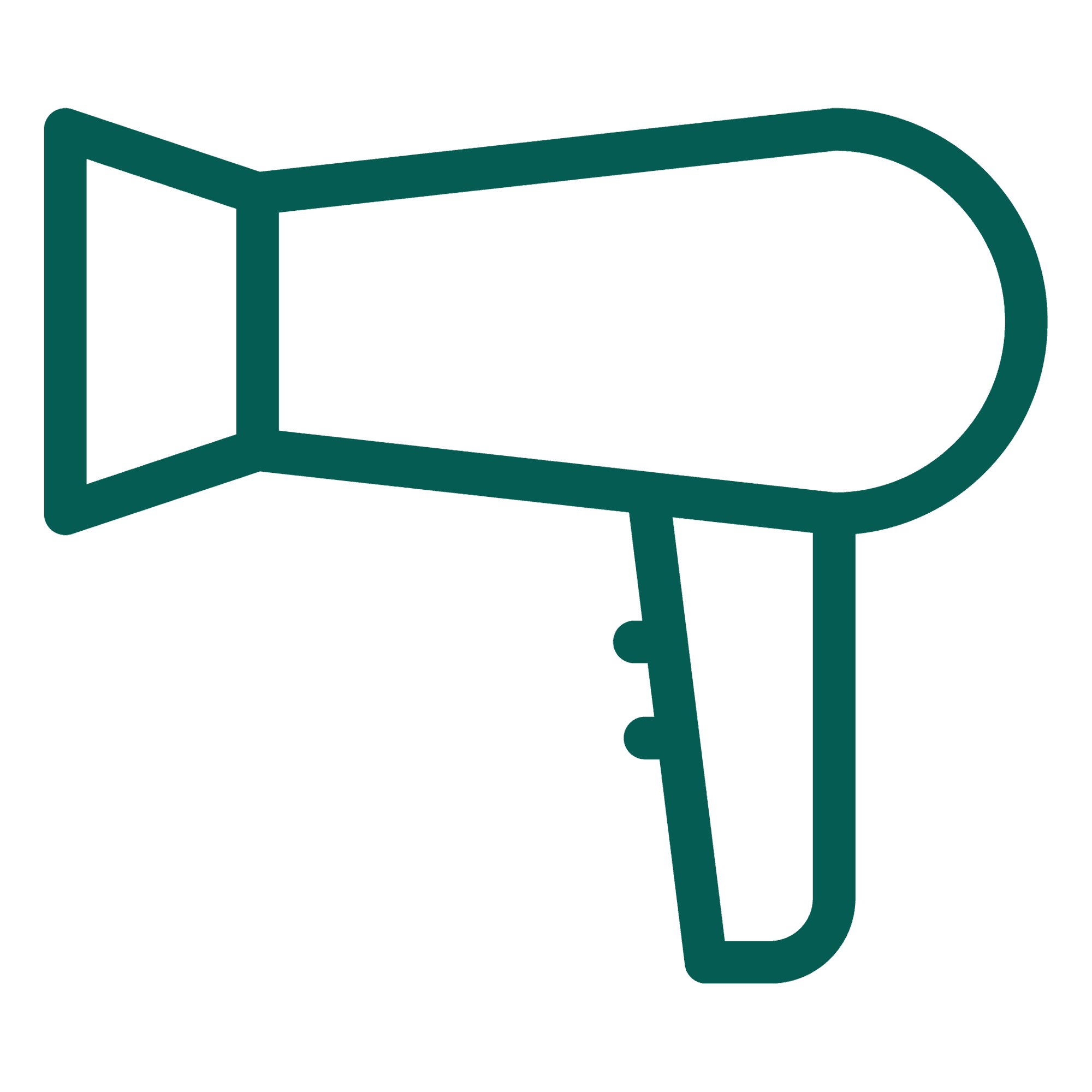 Hair Dryer