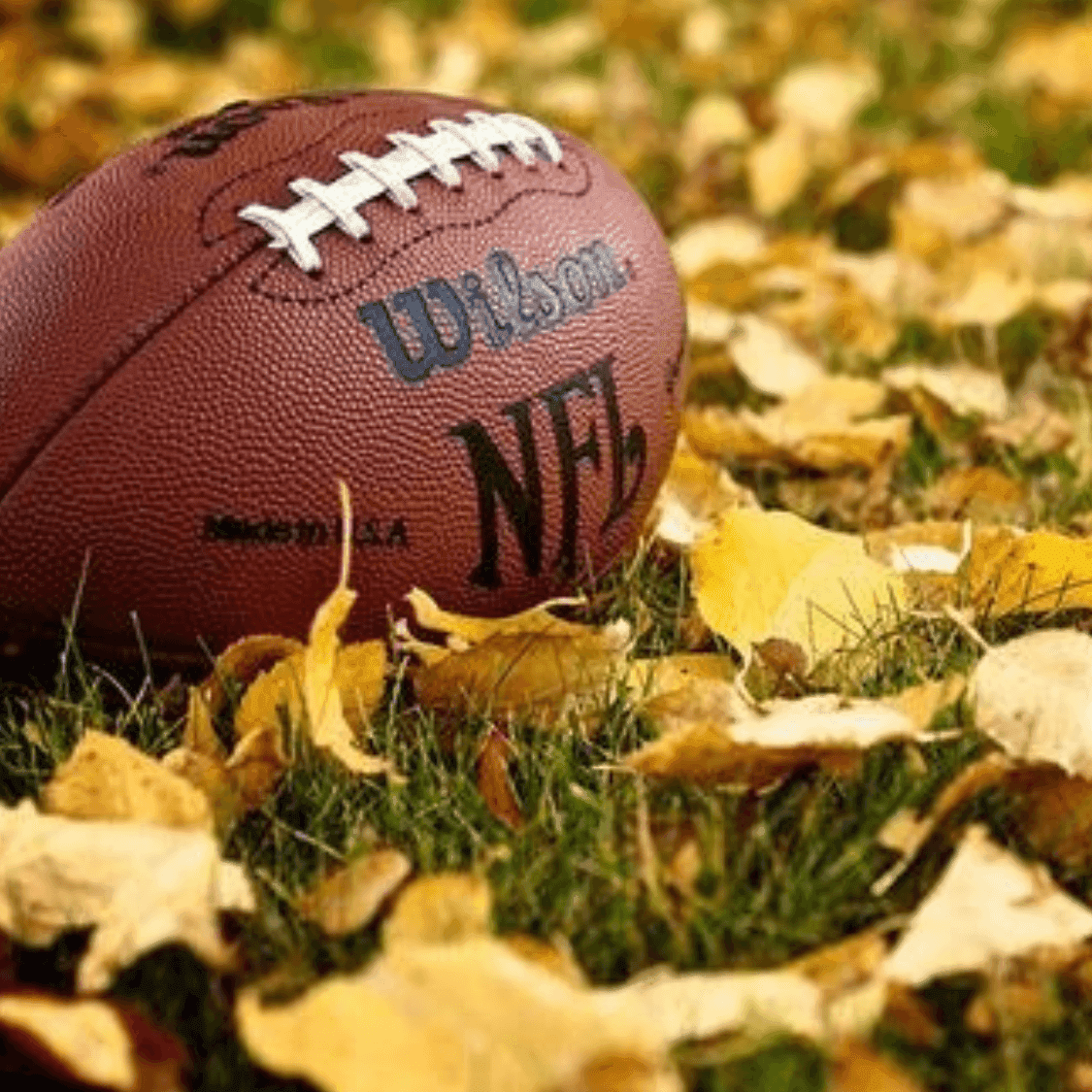 fall football ithaca ny