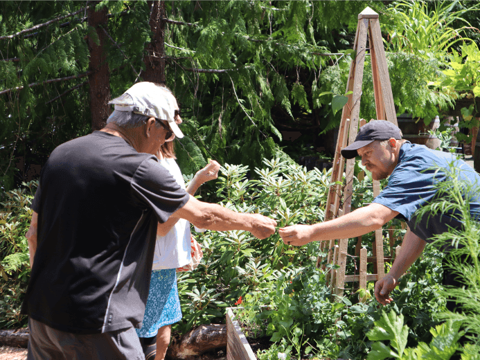 Trail to Table What to do near Alderbrook Resort & Spa