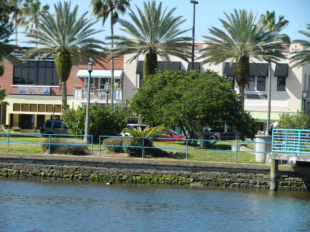 A view of a waterfront area with palm trees, buildings, and a blue railing.