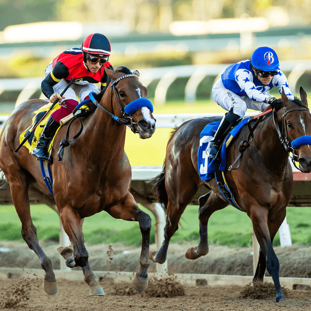 Del Mar’s Bing Crosby Racing Season | San Diego Events | El Cordova Hotel