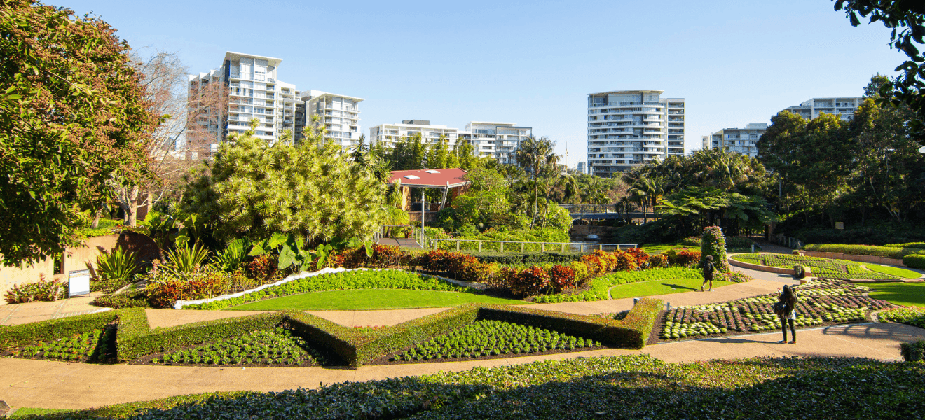 The Roma Street Parklands are a botanical playground for big and little kids alike!