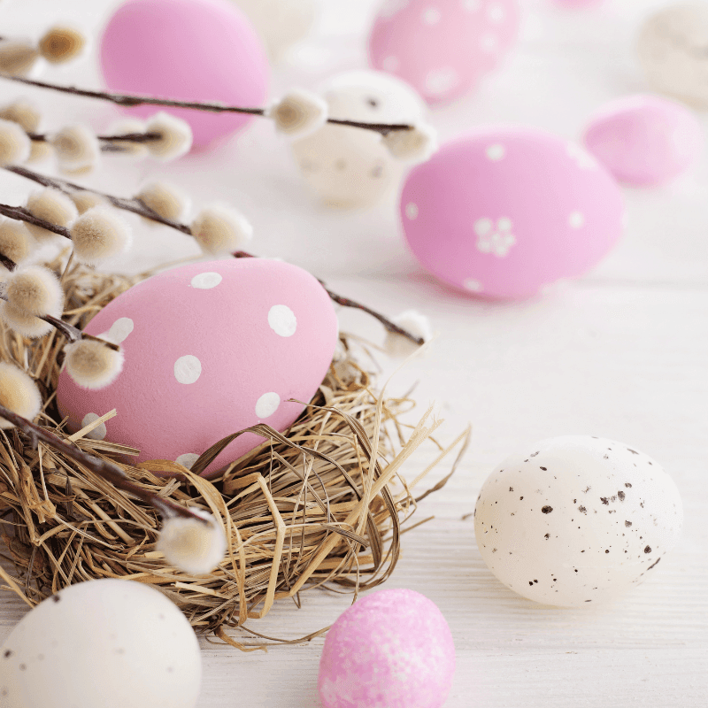 Oeufs de Pâques décorés et branches de saule sur fond de bois clair.