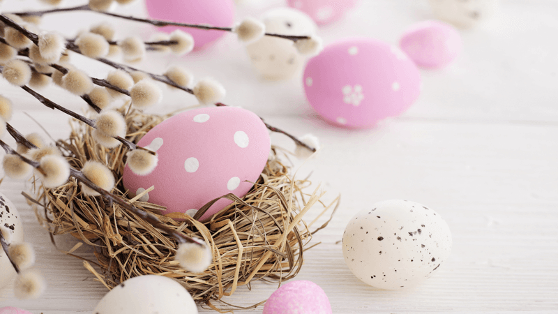 Easter Offer featuring decorated eggs and willow branches on a white table.